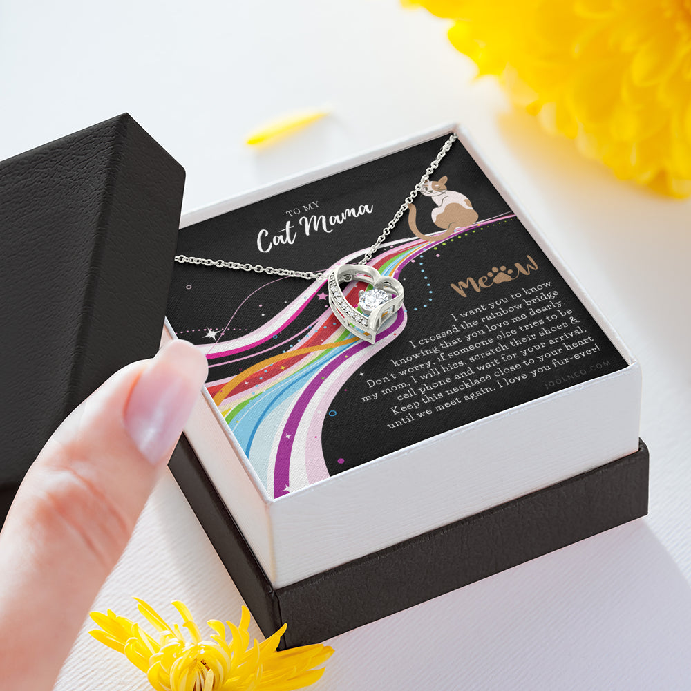 To My Cat Mama, Cat loss gifts, Rainbow Bridge Cat, Pet sympathy gift, Cat loss necklace, Until We Meet Again Necklace, Loss of Cat memorial necklace