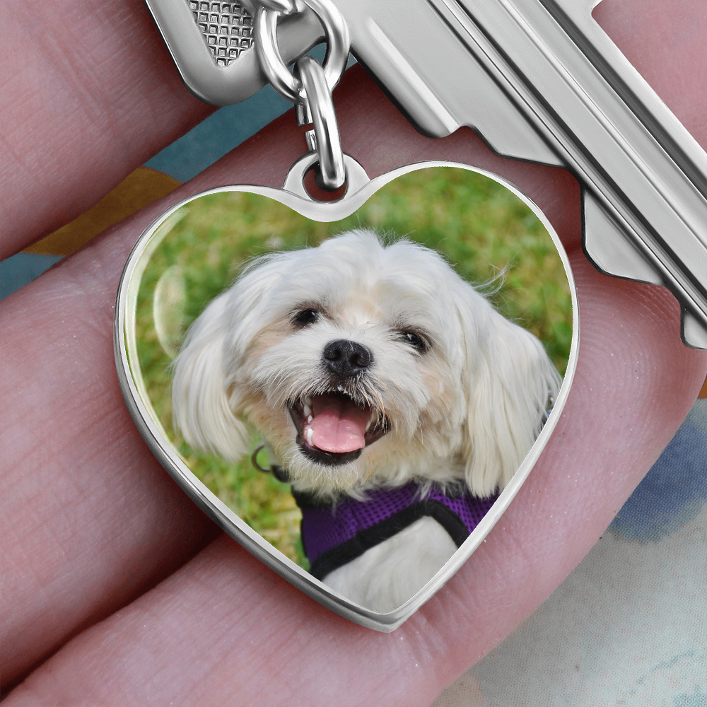 Dog Memorial Key Chain, Pet Memorial Key Chain