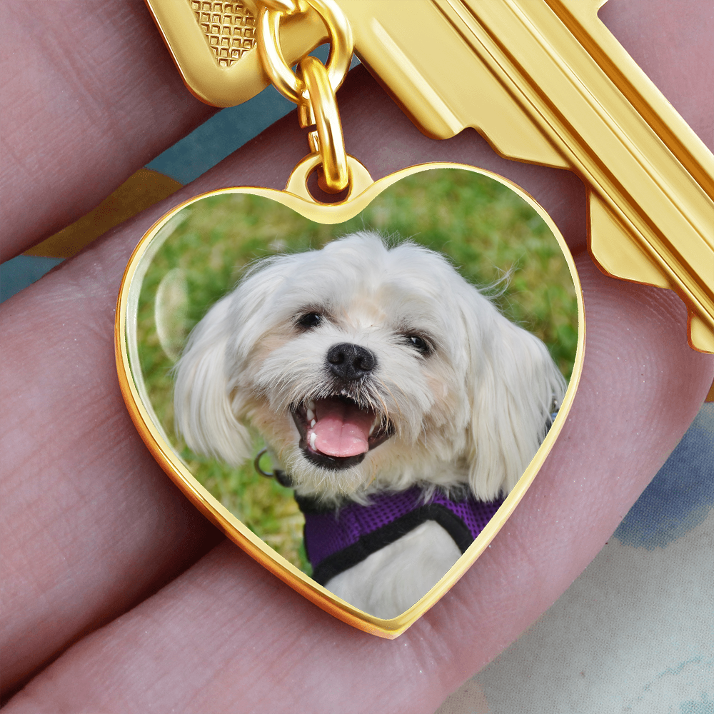 Dog Memorial Key Chain, Pet Memorial Key Chain