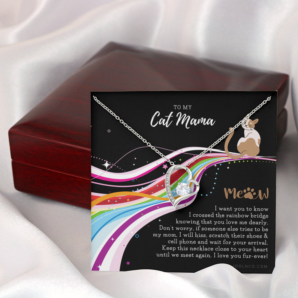 To My Cat Mama, Cat loss gifts, Rainbow Bridge Cat, Pet sympathy gift, Cat loss necklace, Until We Meet Again Necklace, Loss of Cat memorial necklace